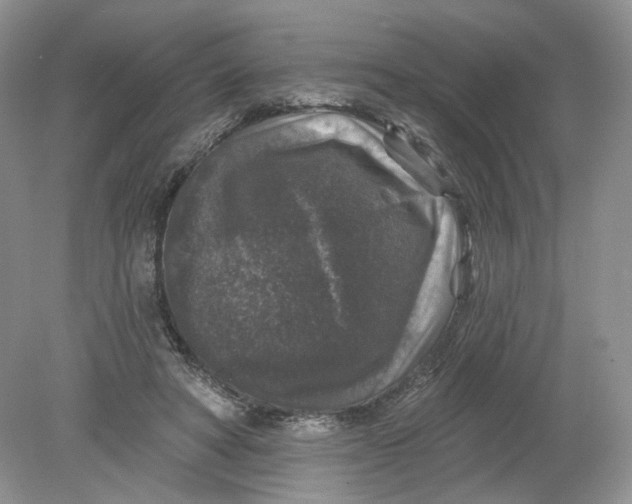 X0000078870402200612042003