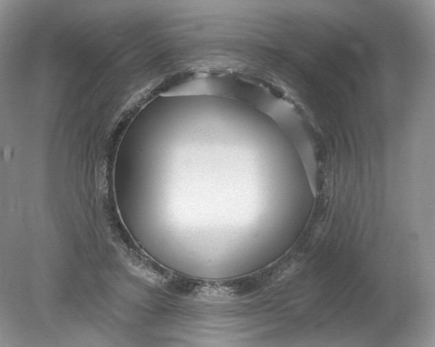 X0000078870403200612042003