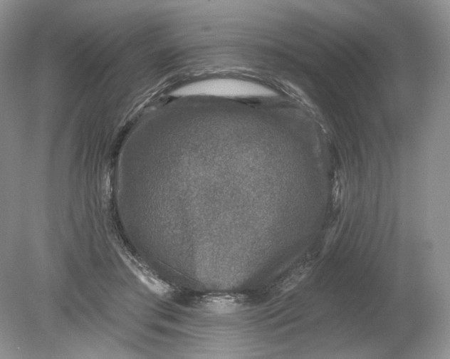 X0000078870405200612042003