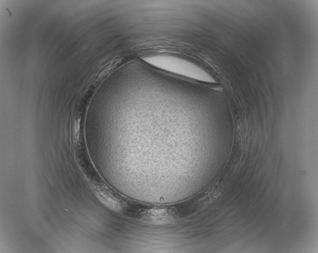 X0000078870406200612042003