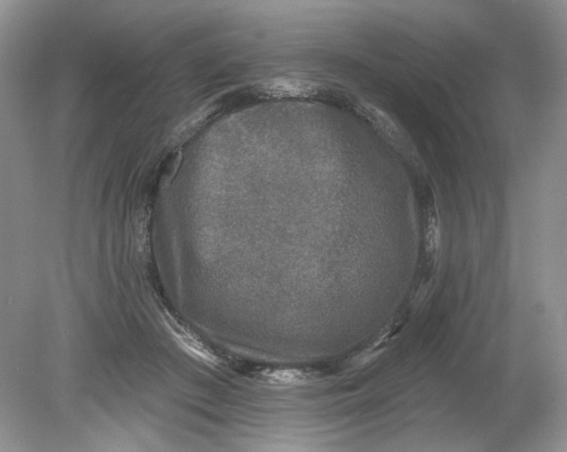 X0000078870409200612042003