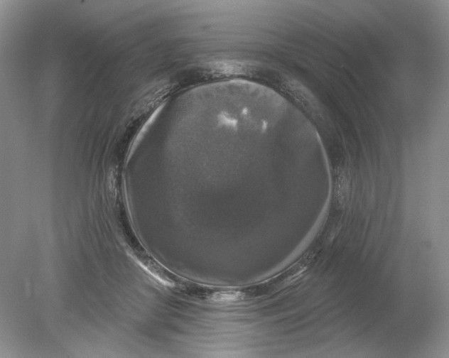 X0000078870410200612042003