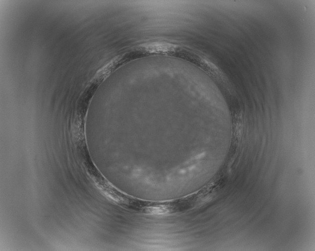 X0000078870411200612042003