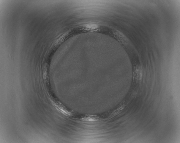 X0000078870412200612042003