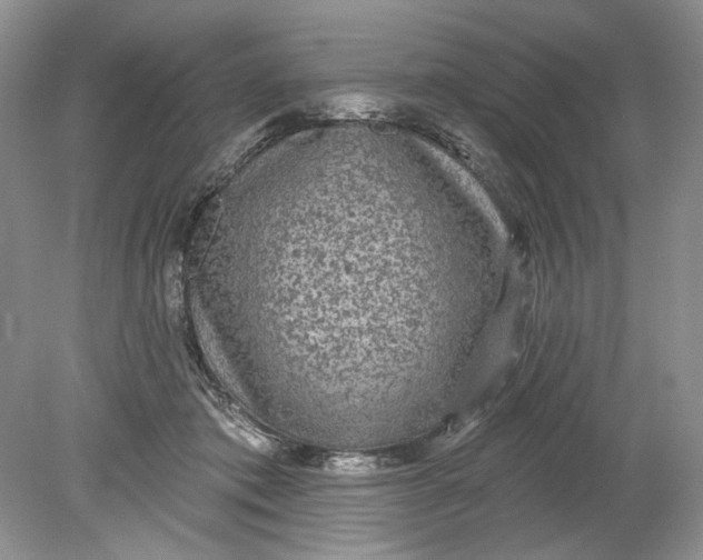 X0000078870413200612042003