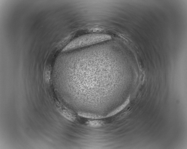 X0000078870417200612042003