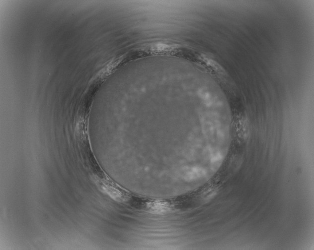 X0000078870419200612042003