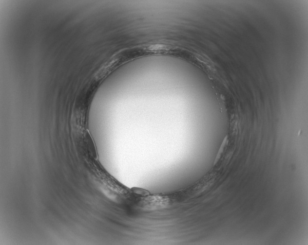 X0000078870421200612042003