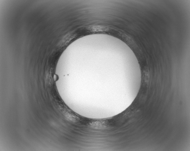 X0000078870422200612042003