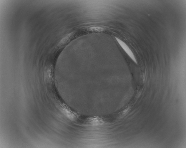 X0000078870424200612042003