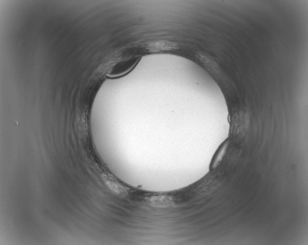 X0000078870426200612042003