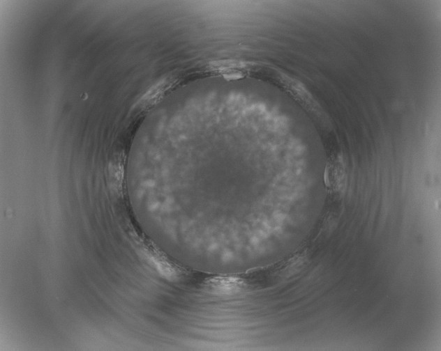 X0000078870427200612042003