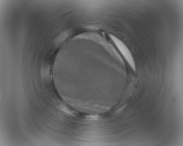 X0000078870428200612042003