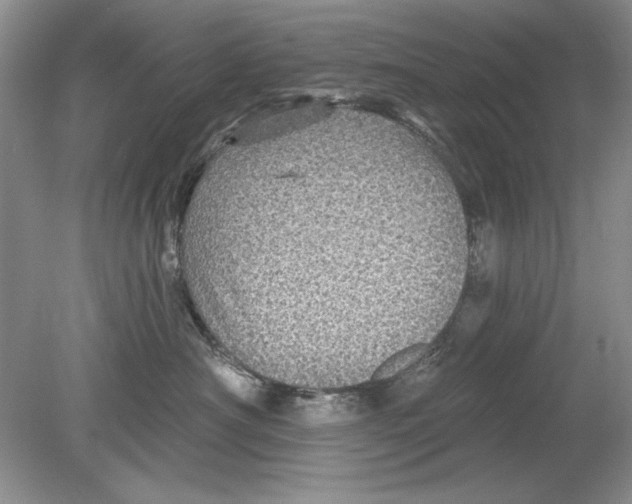 X0000078870430200612042003