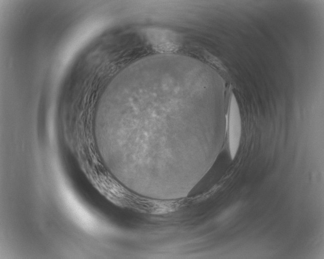 X0000078870431200612042003