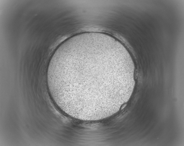 X0000078870433200612042002