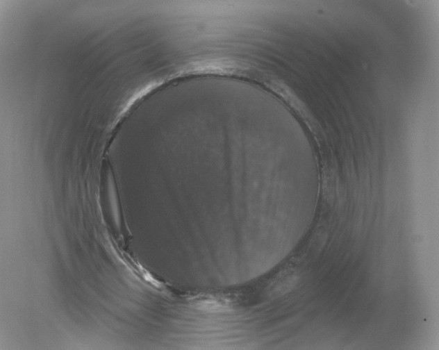 X0000078870434200612042002