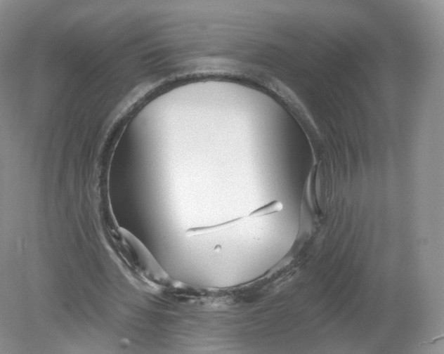 X0000078870436200612042002