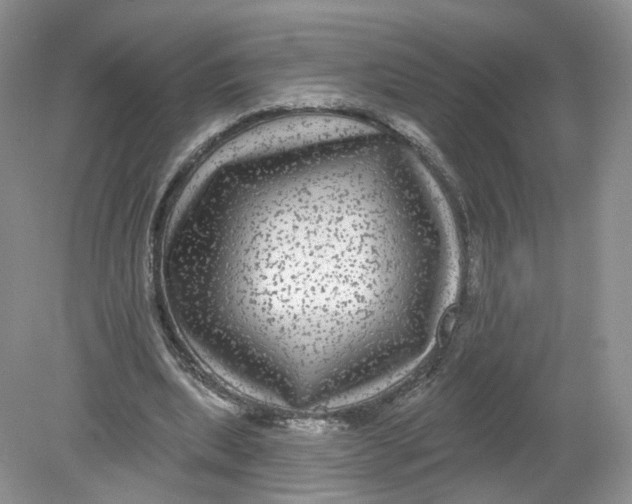 X0000078870439200612042002