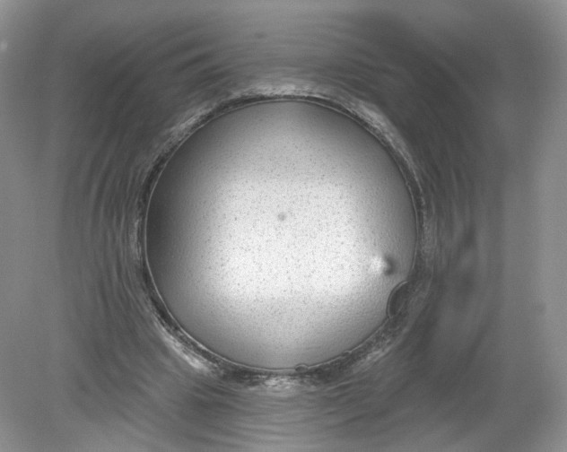 X0000078870441200612042002