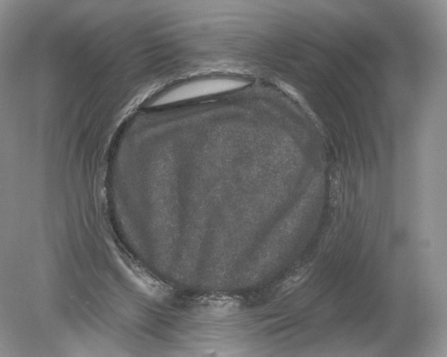 X0000078870443200612042002