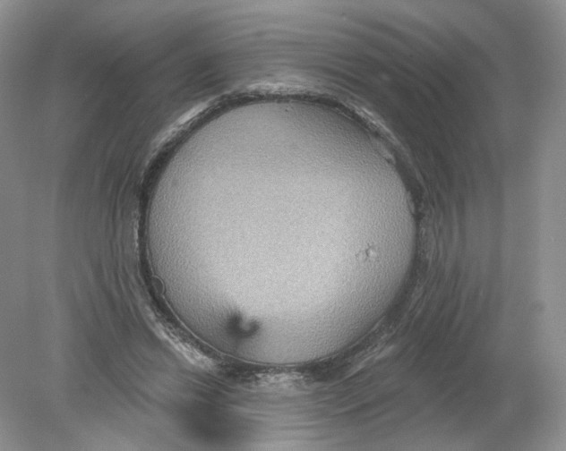 X0000078870446200612042002