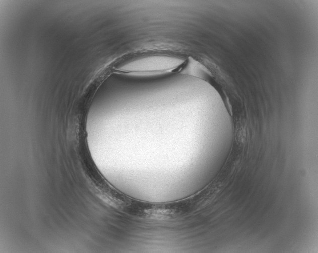 X0000078870448200612042002