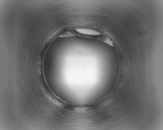 X0000078870450200612042002