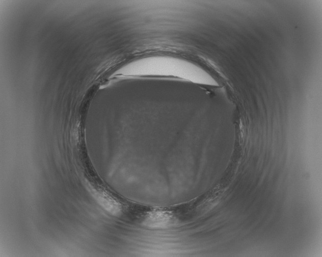 X0000078870451200612042002