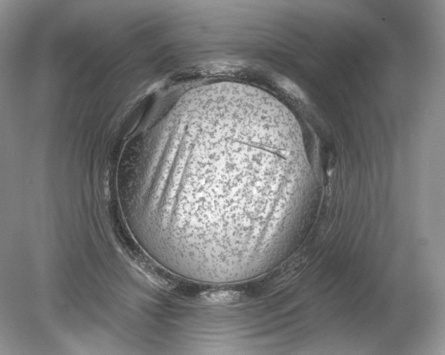 X0000078870452200612042002