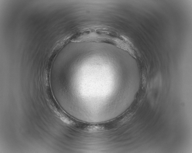 X0000078870453200612042002