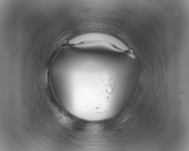 X0000078870454200612042002