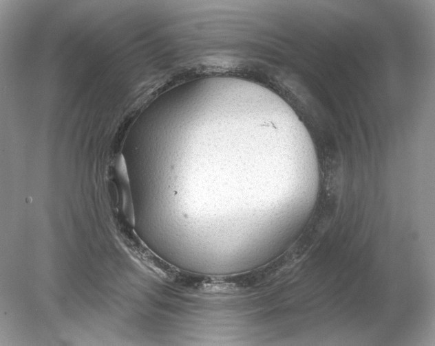 X0000078870455200612042002