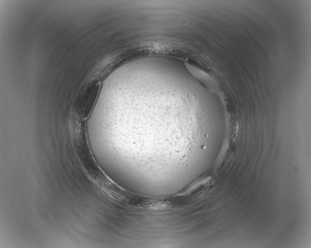 X0000078870456200612042002