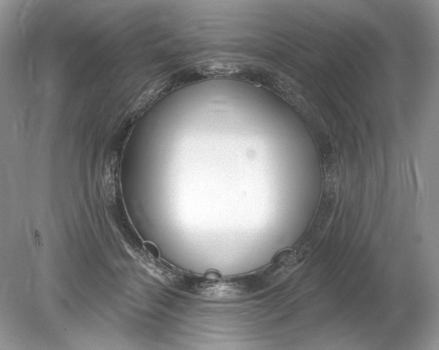 X0000078870460200612042002