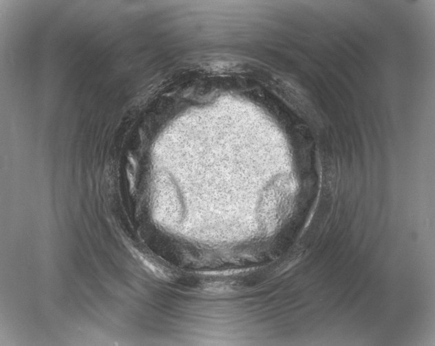 X0000078870461200612042002