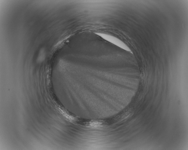 X0000078870462200612042002