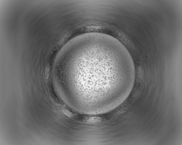 X0000078870463200612042002