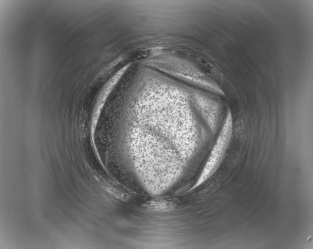 X0000078870464200612042002