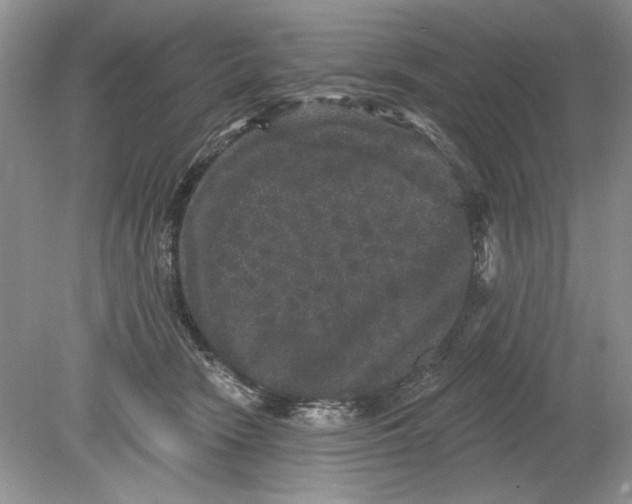 X0000078870466200612042003