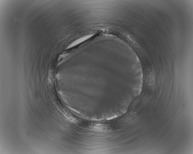 X0000078870467200612042003