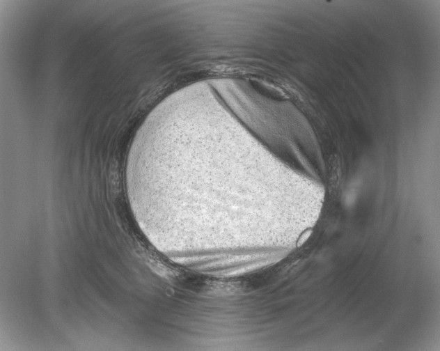 X0000078870469200612042003