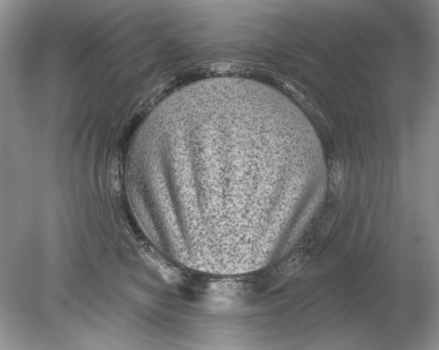 X0000078870470200612042003