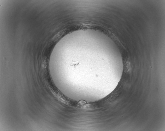 X0000078870472200612042003