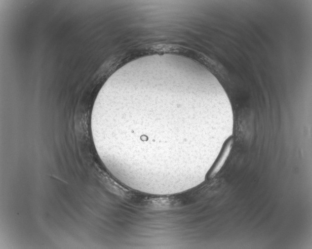 X0000078870473200612042003