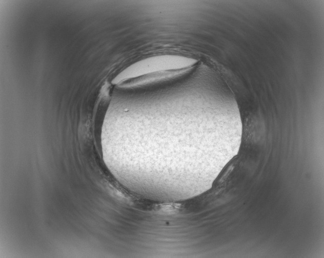 X0000078870474200612042003