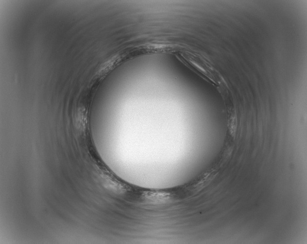 X0000078870476200612042003