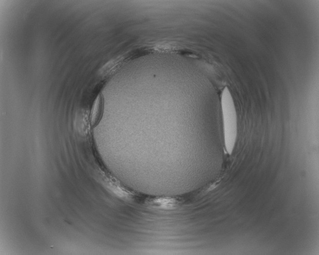 X0000078870478200612042003