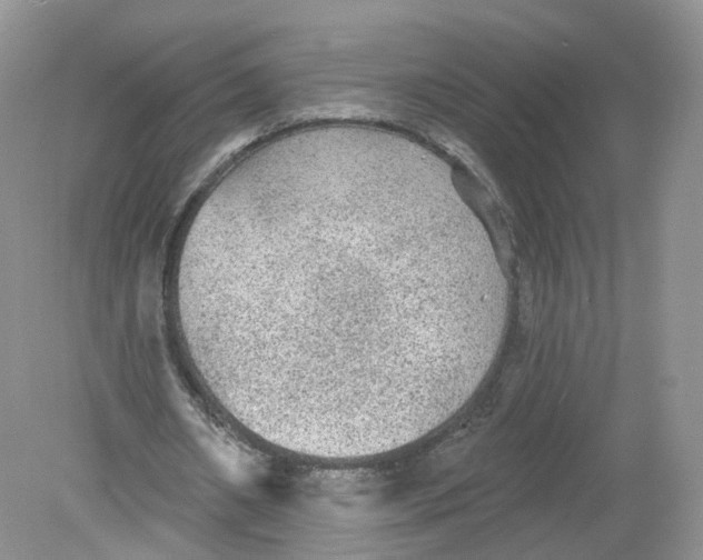 X0000078870482200612042002