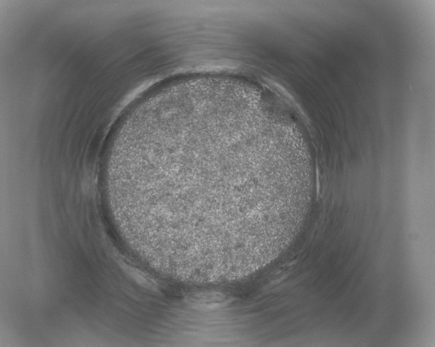 X0000078870483200612042002